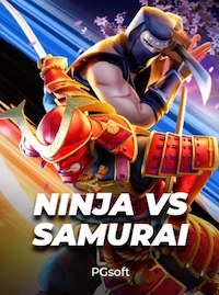 ninja-samurai